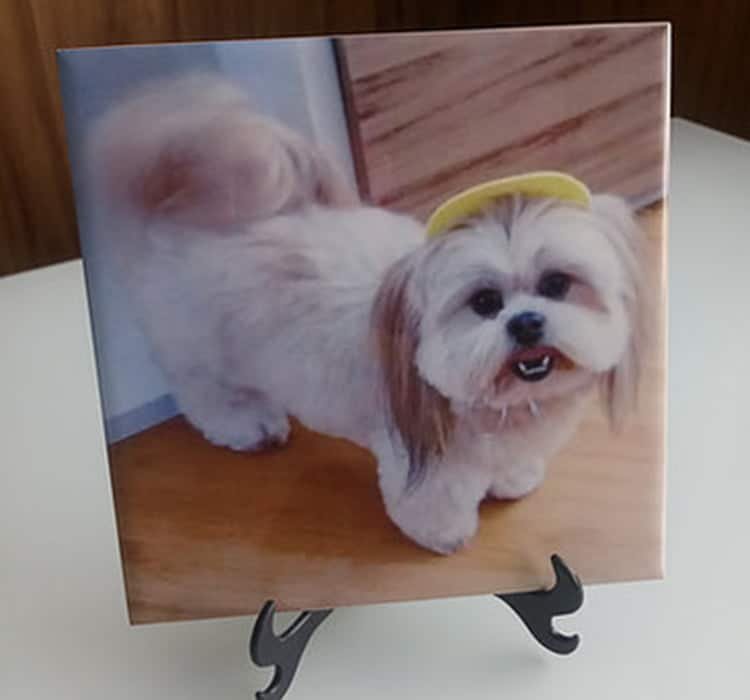 Azulejos Personalizados 15x15 - Imagem 2